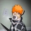 harrycolon69