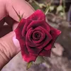 mauapa015