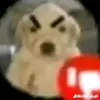 9usnd