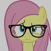 shy_shilo0