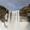 lilymonkey648