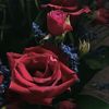 fatooma_hussain
