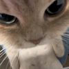 user222_321