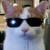 jynxplays