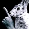 l0renzo__m