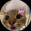 flpmeow