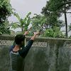 jaardemenfutsal