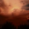 sabir_0633
