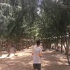vthangg28