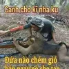 user36819161