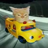 joseeeef.f