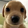 24hnhoem_14