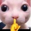 deryqw