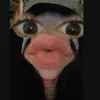 s0ff.__