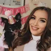 the_three_chihuahuas