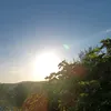 rafaelcham8