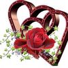 user262529237