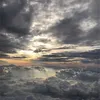 mustafafalah889
