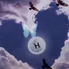 x_8k8