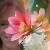 lierre_blanc66
