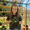 littlesparrowgreenhouse