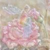 emily_09210