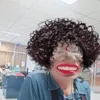 pailinpanju
