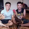 hangocchung36