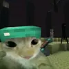ang3l_r1os