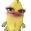 yyyuiimho