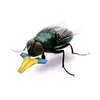 kytran.ha.28062025