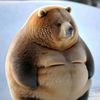 big_davit