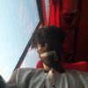 hbash29933