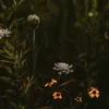_etme9