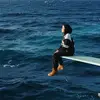 repapipunk