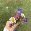 tatia_chavleshvili