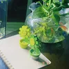_quyynh_