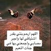 user2763478680148