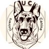 Univers canin