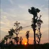 usern61gkob8gn