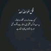 aman_hassan543