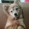 snsmslyn