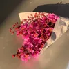 lognvu
