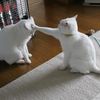 beekkboo