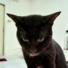 mongkol_2912