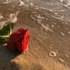 ساره الرهوي