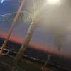 dani_ella.11