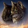christerry72