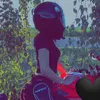lano_gull0