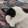 oby_nam_sie